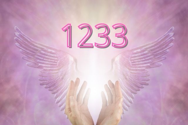1233-angel-number