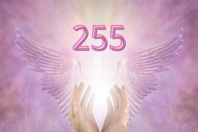 255-angel-number