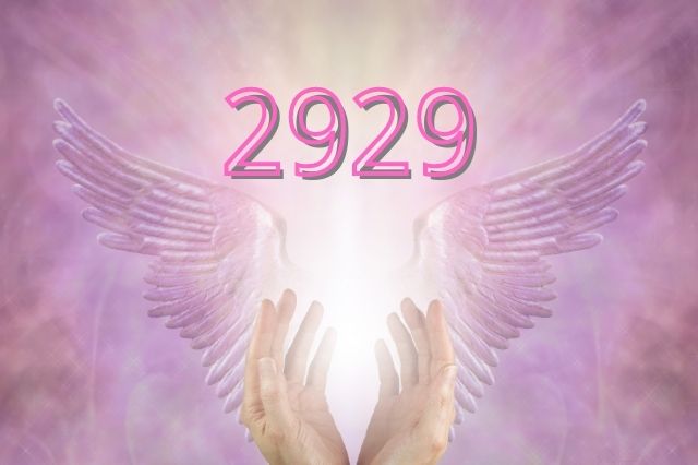 2929-angel-number