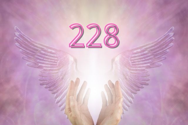 angel-number-228