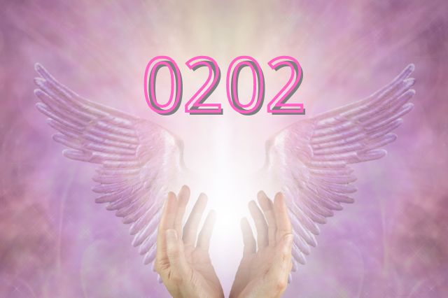 0202-angel-number