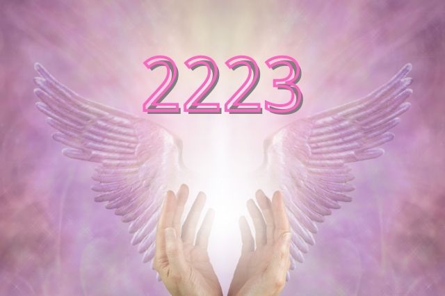 2223 Angel Number Meaning Symbolism Love And Twin Flame Angel Numbers