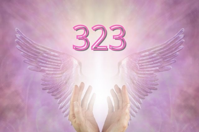 323-angel-number