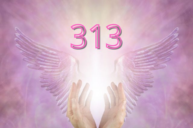 313-angel-number