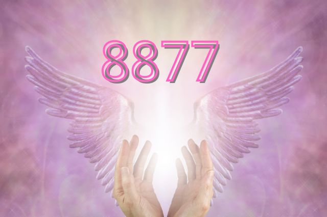 8877-angel-number