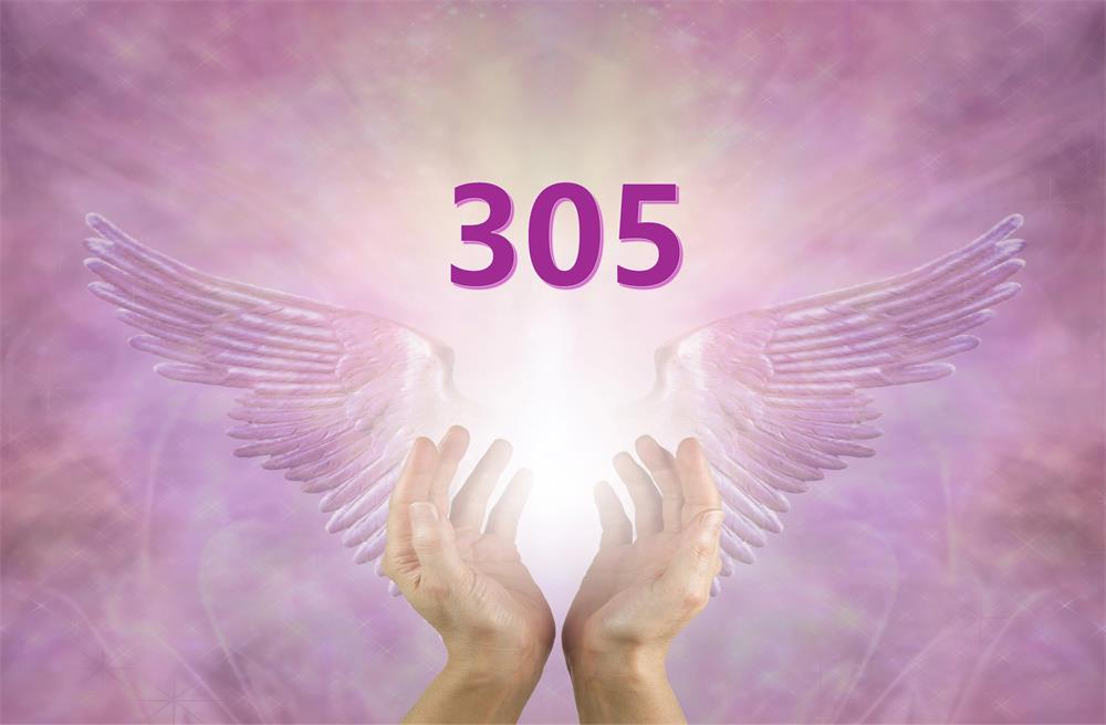 305-angel-number